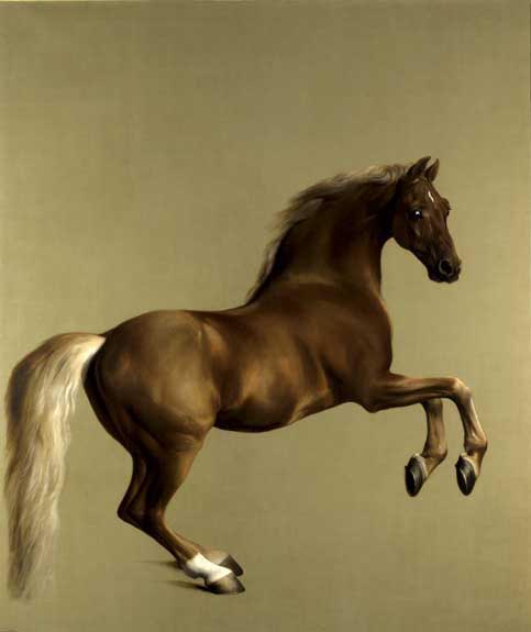 Whistlejacket. National Gallery, London.